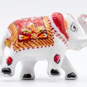 Ornate White Elephant